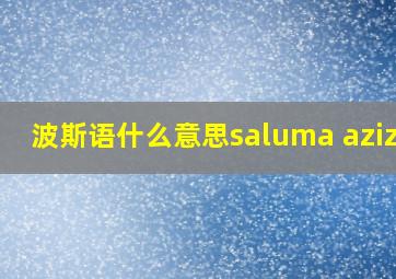 波斯语什么意思saluma azizam